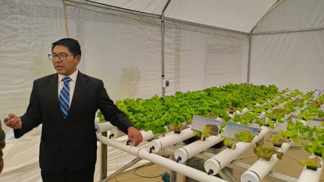 555536731_1402031285256051_4407925781893789463_n