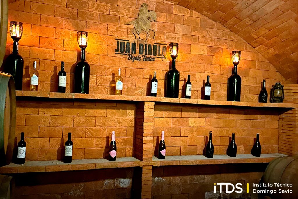 555696178_1227686159398693_4866884348167073167_n