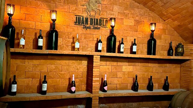 555696178_1227686159398693_4866884348167073167_n