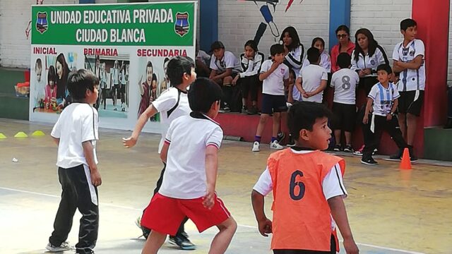 70409491_374053170215789_5854909721533743104_n