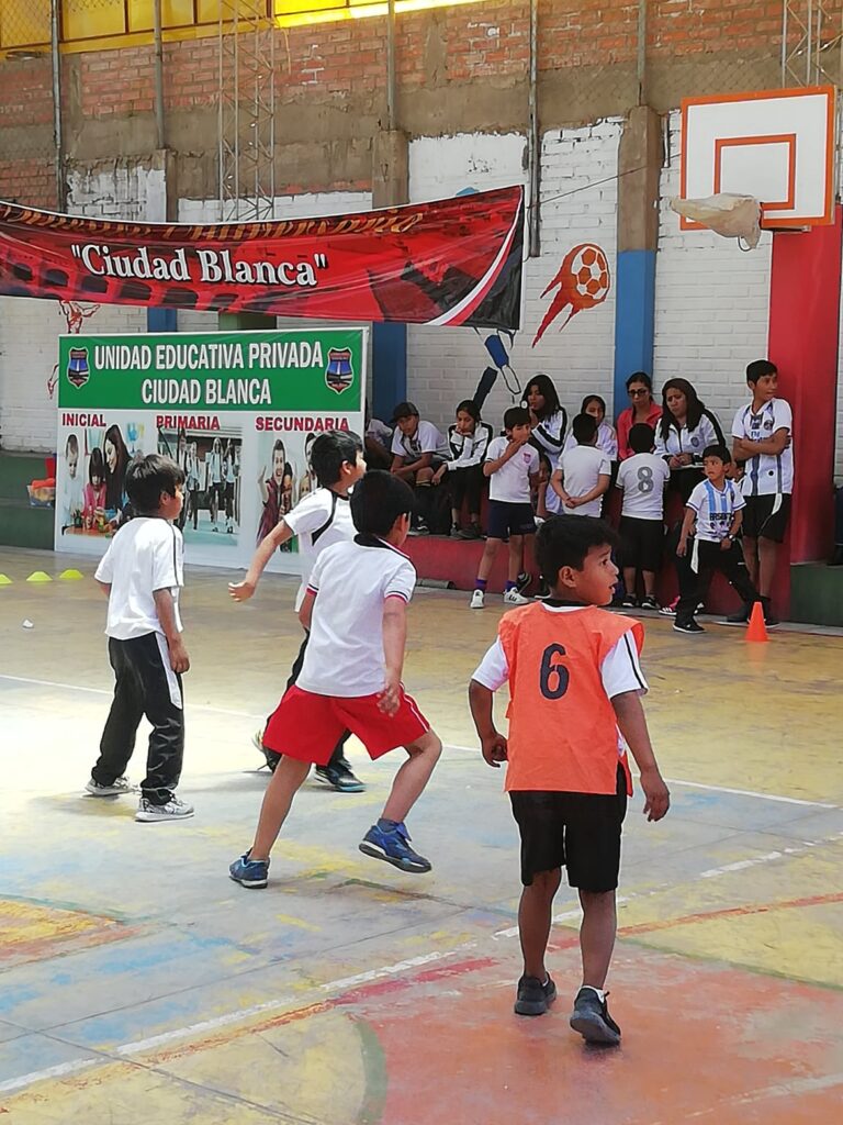 70409491_374053170215789_5854909721533743104_n