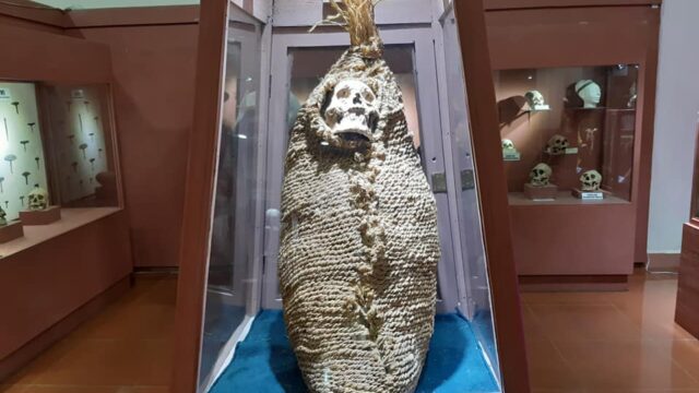 75456686_1882329168579364_5252652283254013952_n