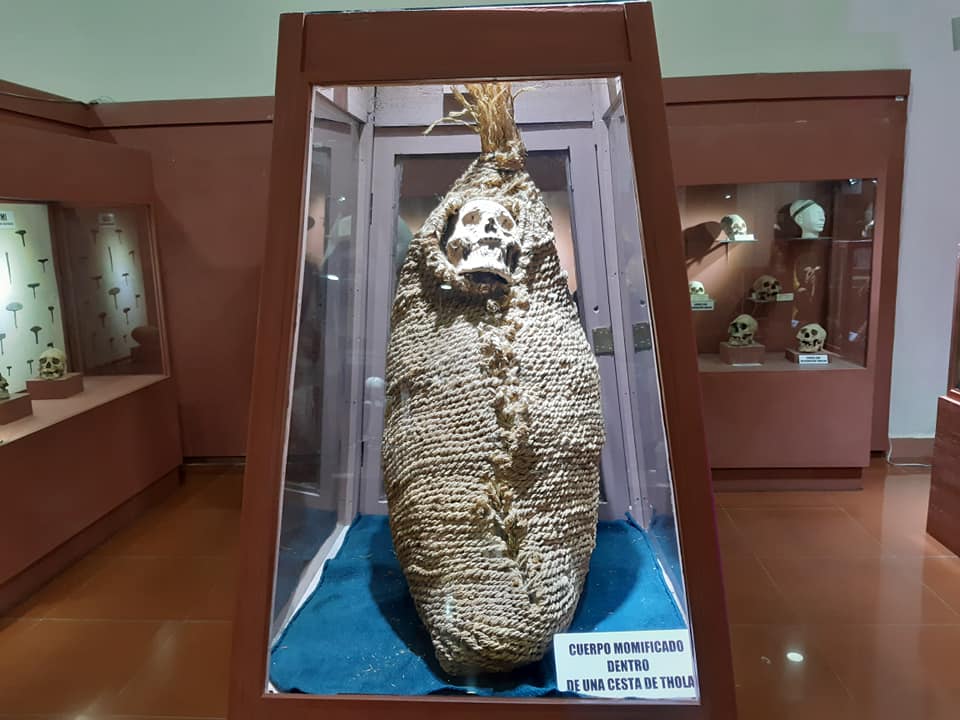 Museo Nacional Antropológico Eduardo López Rivas