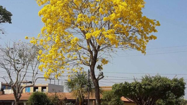 304881961_476905914445639_6693845006942608580_n