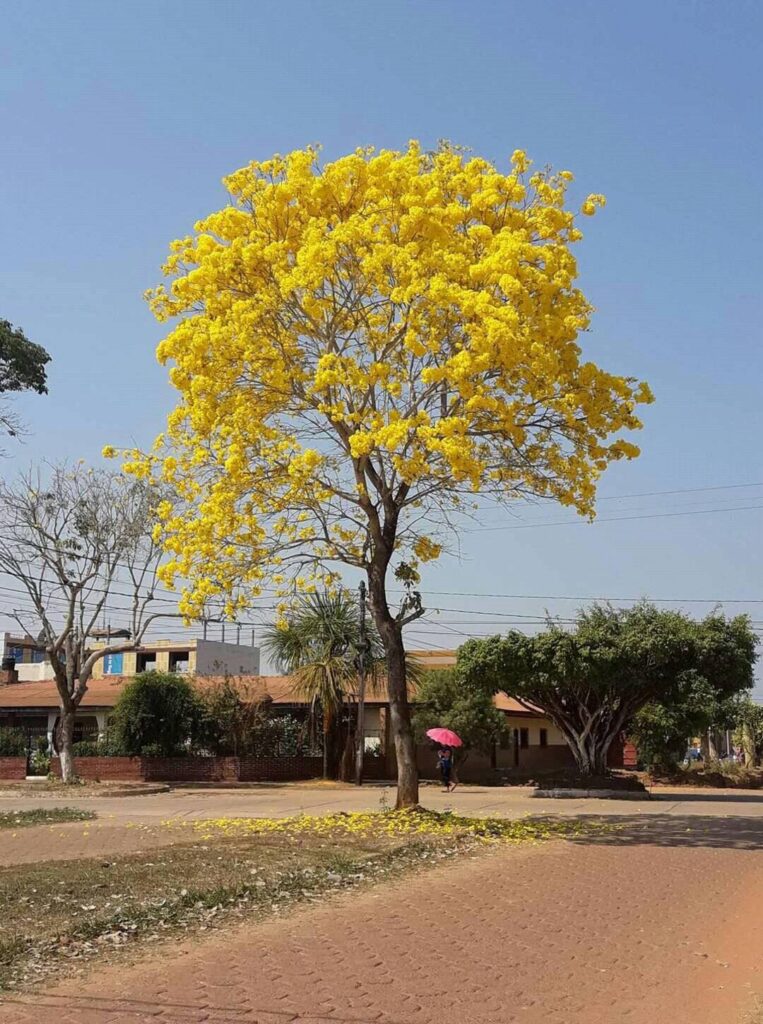 304881961_476905914445639_6693845006942608580_n