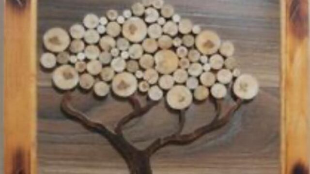 434834013_122117504804248737_405284246178854766_n