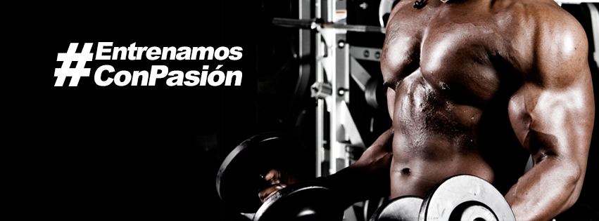 456722788_3789978821261089_3523756106242549448_n