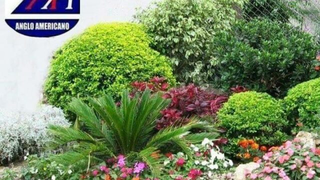 465102499_9120279151336509_951633138361507618_n