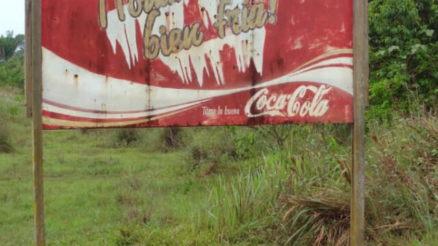 469501987_563474836449871_6669563601198695921_n