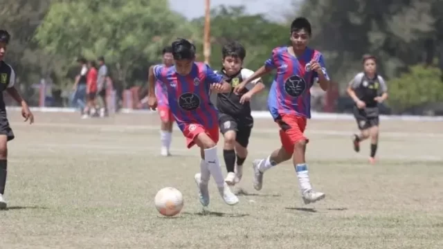 46fc8906-68fd-4fe0-870e-9aa303099579 (1)