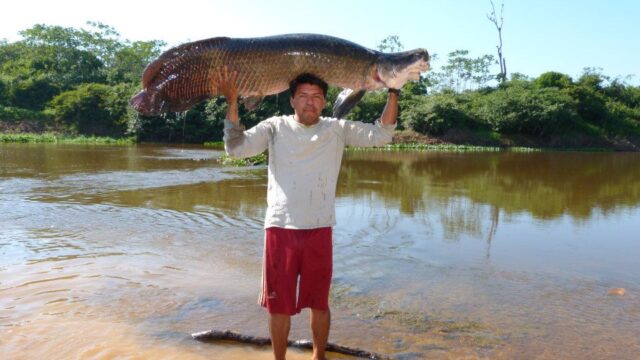 480664277_939705621665128_6496168227222277832_n