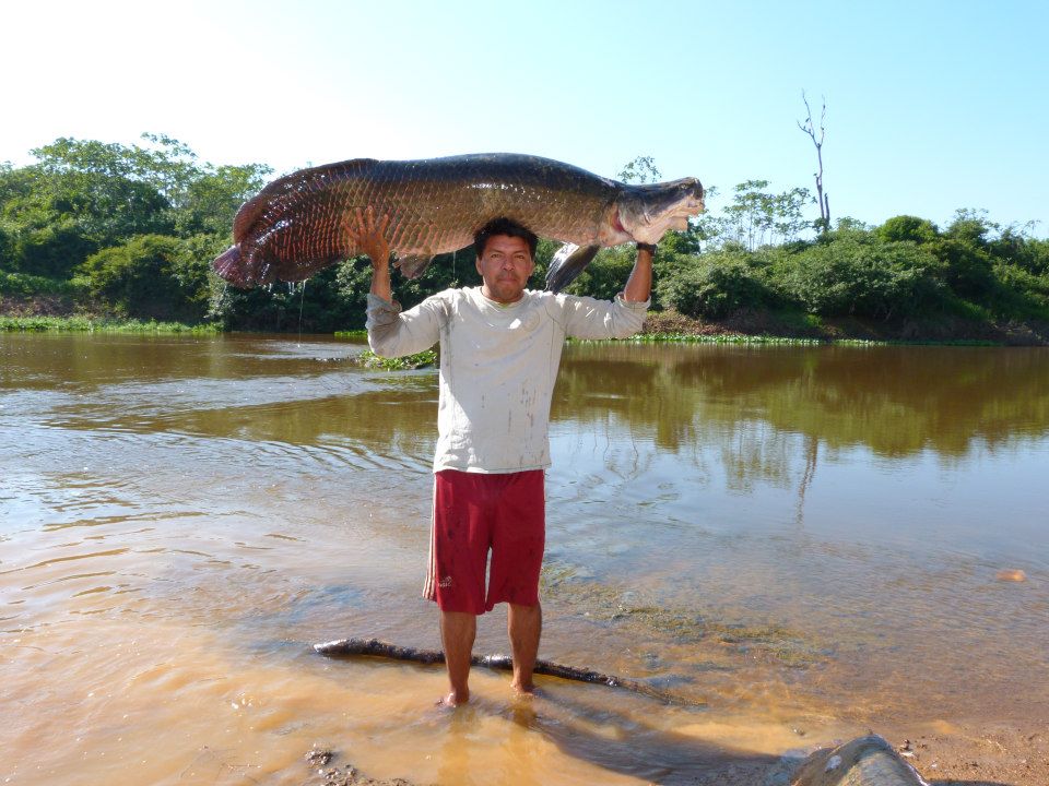 480664277_939705621665128_6496168227222277832_n