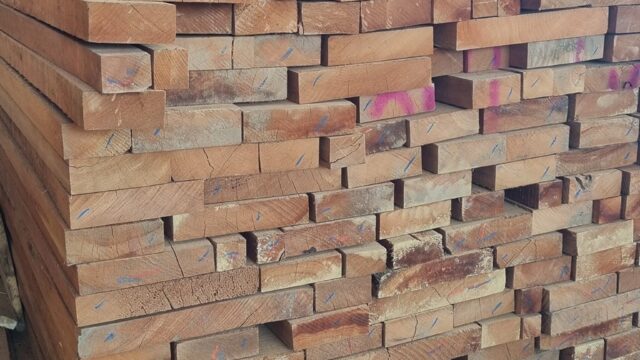 482349732_653771273692169_6976258432043511219_n