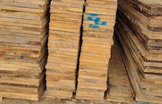 486499476_668053612263935_5627936970271440520_n