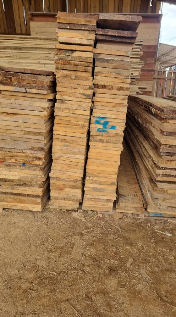 486499476_668053612263935_5627936970271440520_n