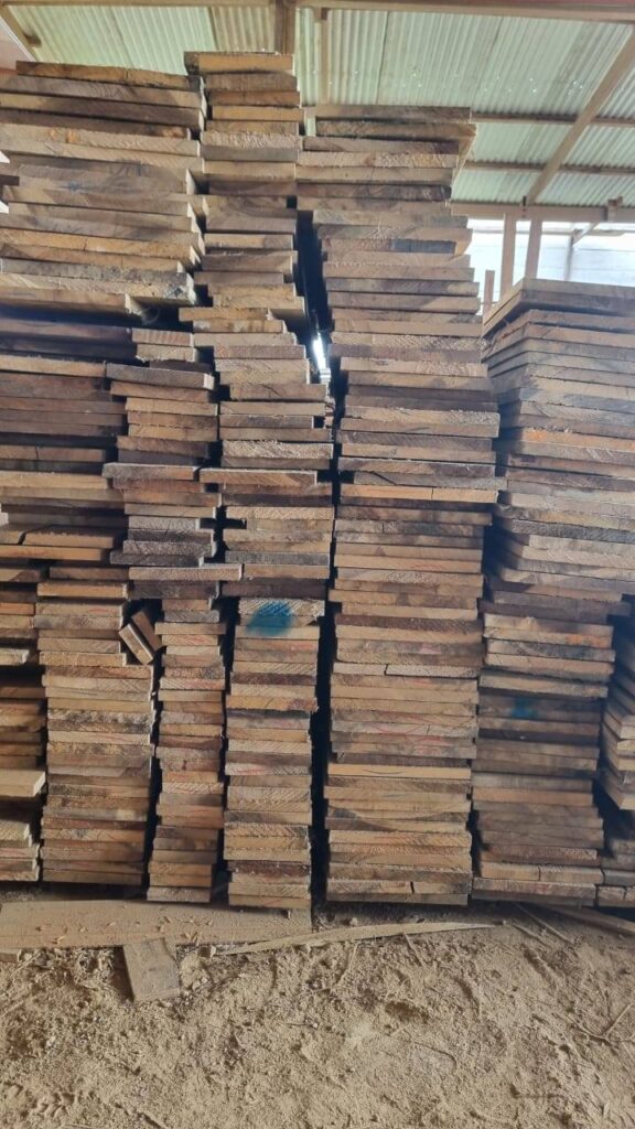 486608398_668054145597215_3296527881035454627_n