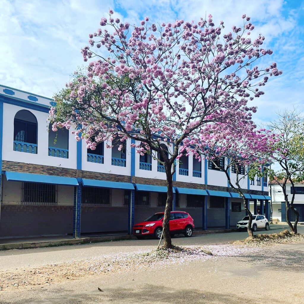 487772558_1199199375538458_2630862298058435285_n