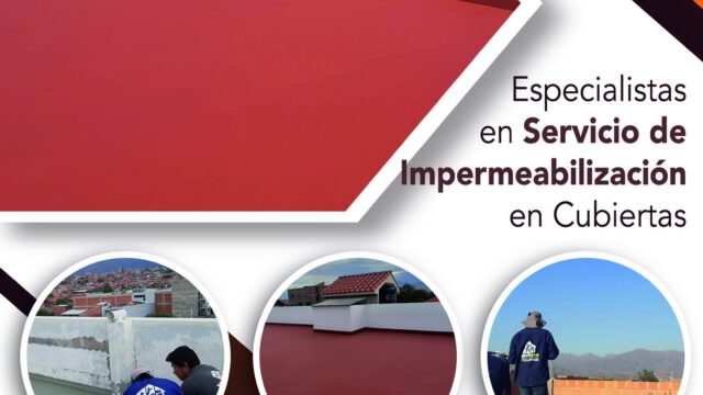 488679902_1428189281882475_3038834413234424061_n