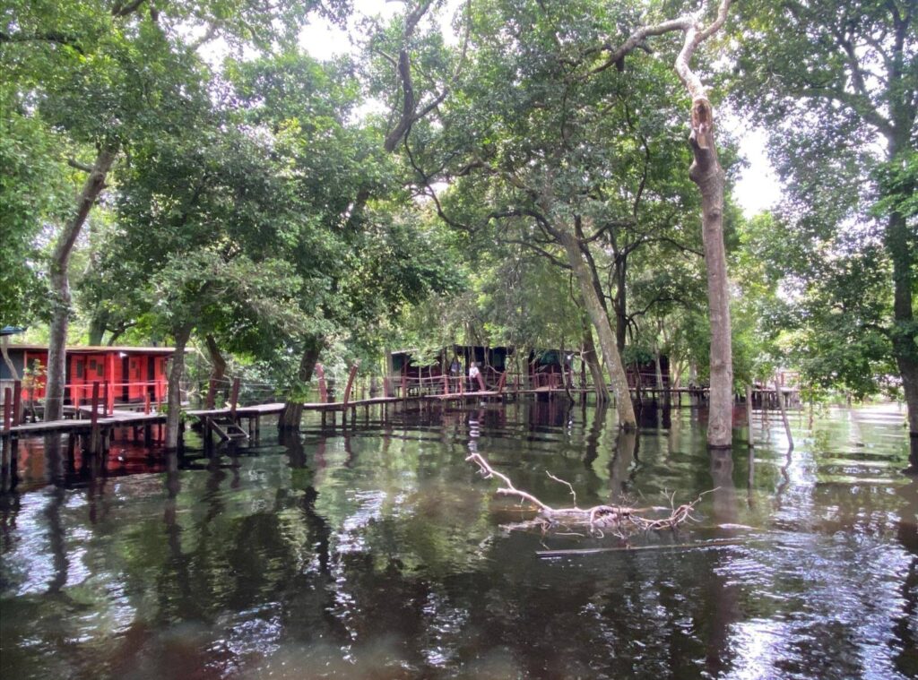 488770567_1197351885512017_1564476017366080947_n