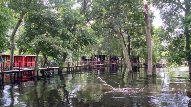 488770567_1197351885512017_1564476017366080947_n