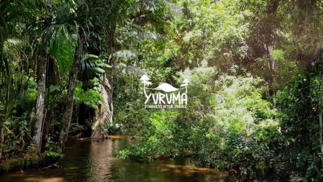 488853491_1249421823859913_3476417975191775774_n