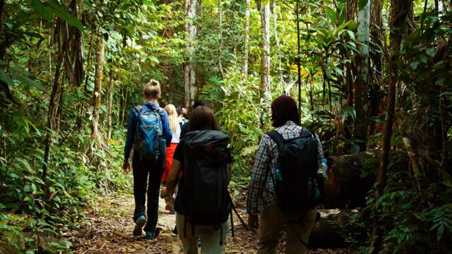 489926103_1293545359447559_9147865010438102177_n