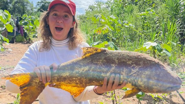 490293353_1270376748425111_843430641683735382_n