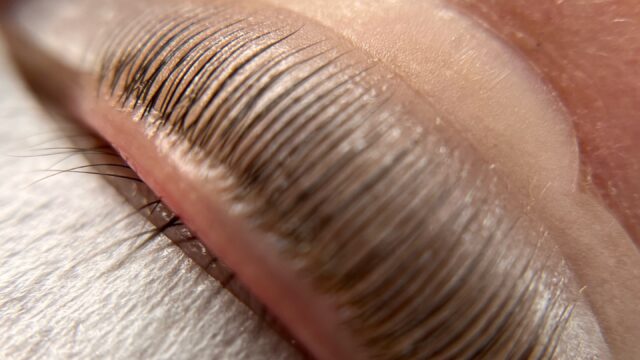 492331856_595128533583690_1040816595365935024_n