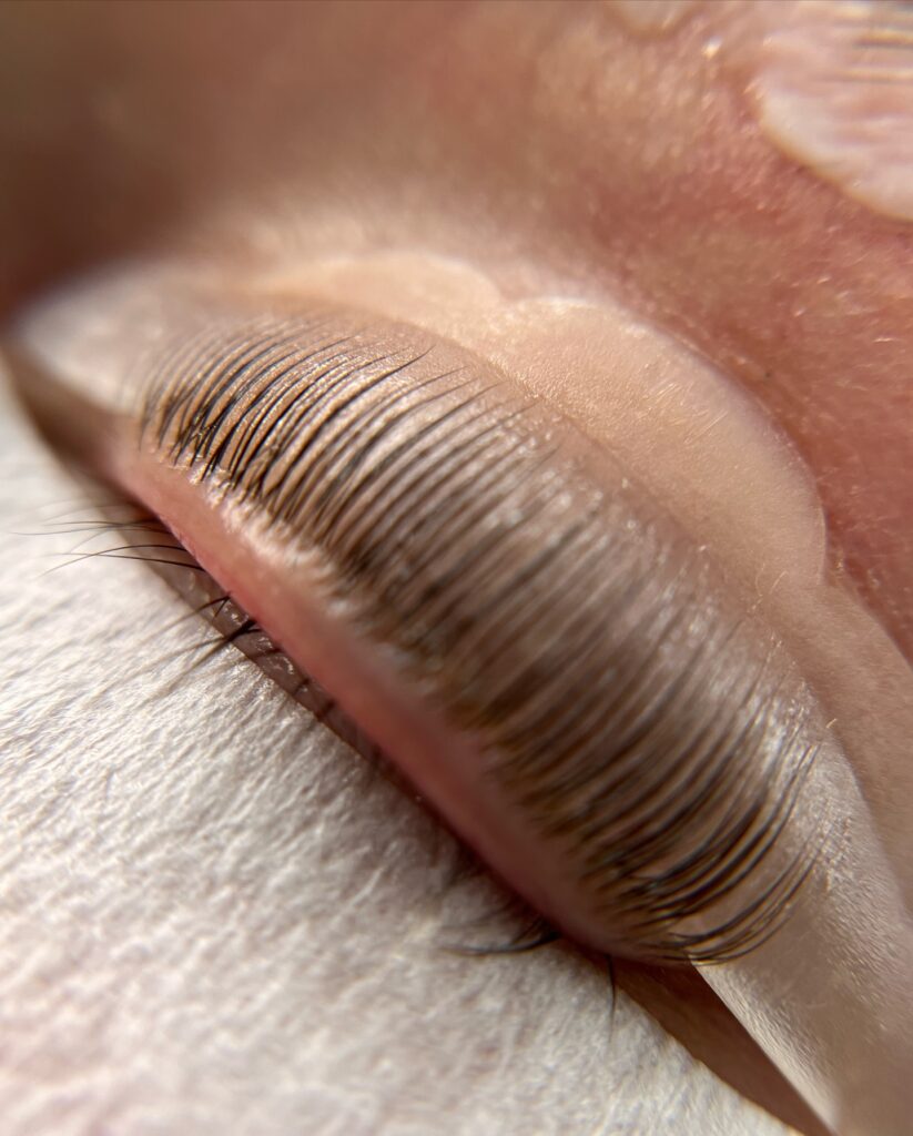 492331856_595128533583690_1040816595365935024_n