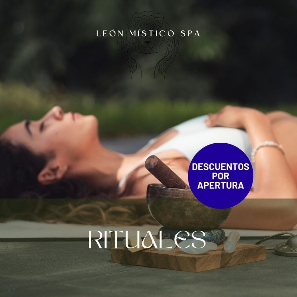 493931492_1261547415974921_3813521146942526273_n