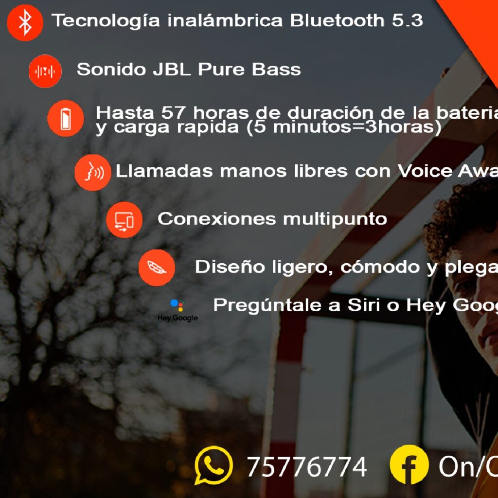 494137312_1226246392845456_5157065773640067432_n