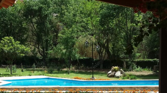 494307302_1257229736408495_7790580673581505965_n