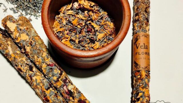 495383587_1271258415003821_278014641713351700_n