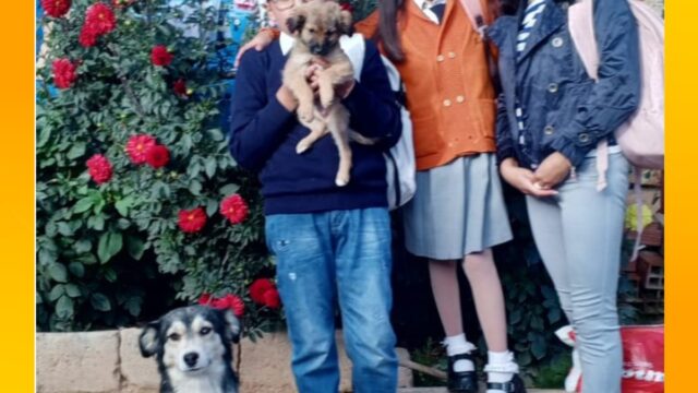 497713135_1102325845252989_5140817085865779403_n