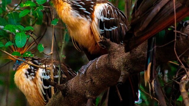 497878702_1296032812532147_4911582507950125921_n