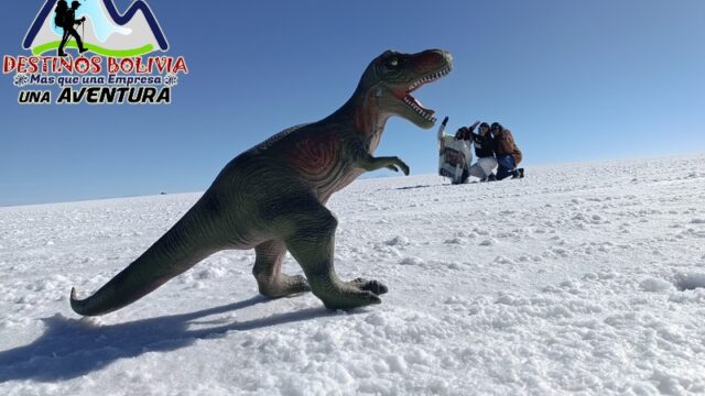 499315796_735528835467711_2781447328739610397_n