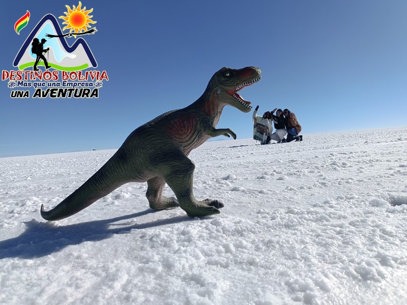 499315796_735528835467711_2781447328739610397_n