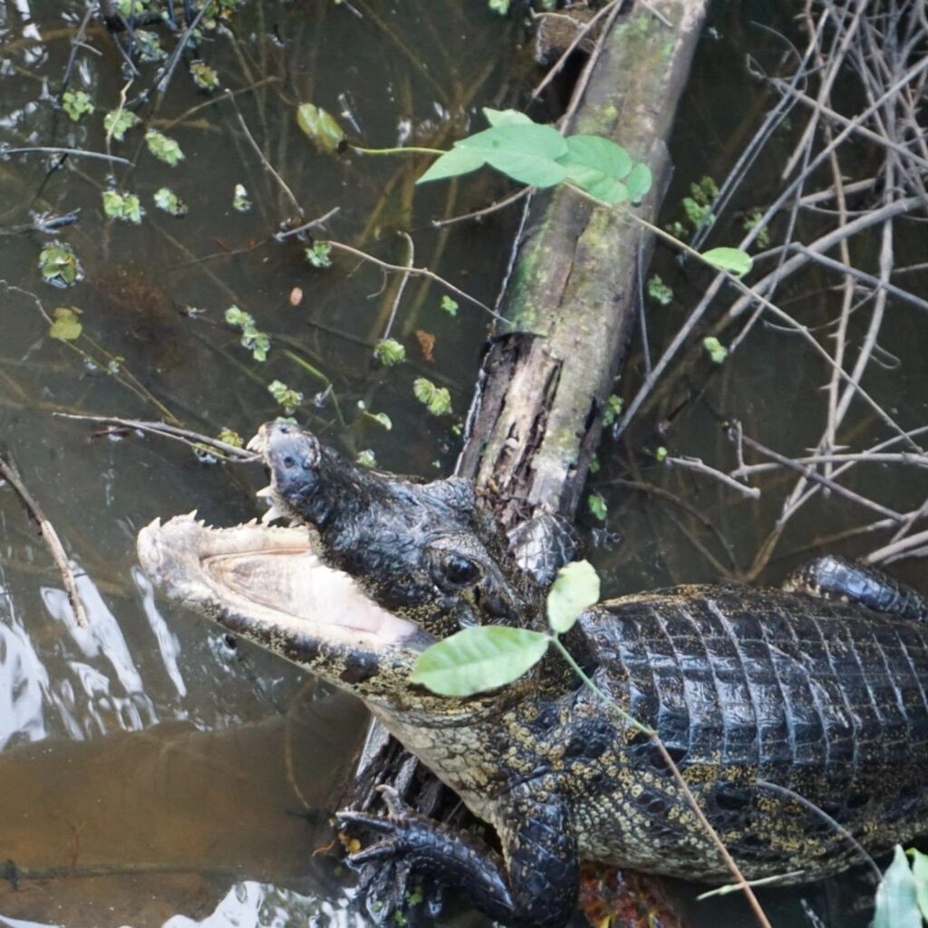 507169568_1302902418251324_5616299392005185977_n