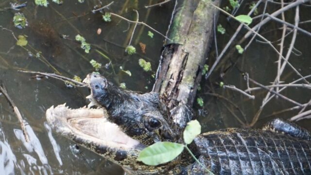 507169568_1302902418251324_5616299392005185977_n