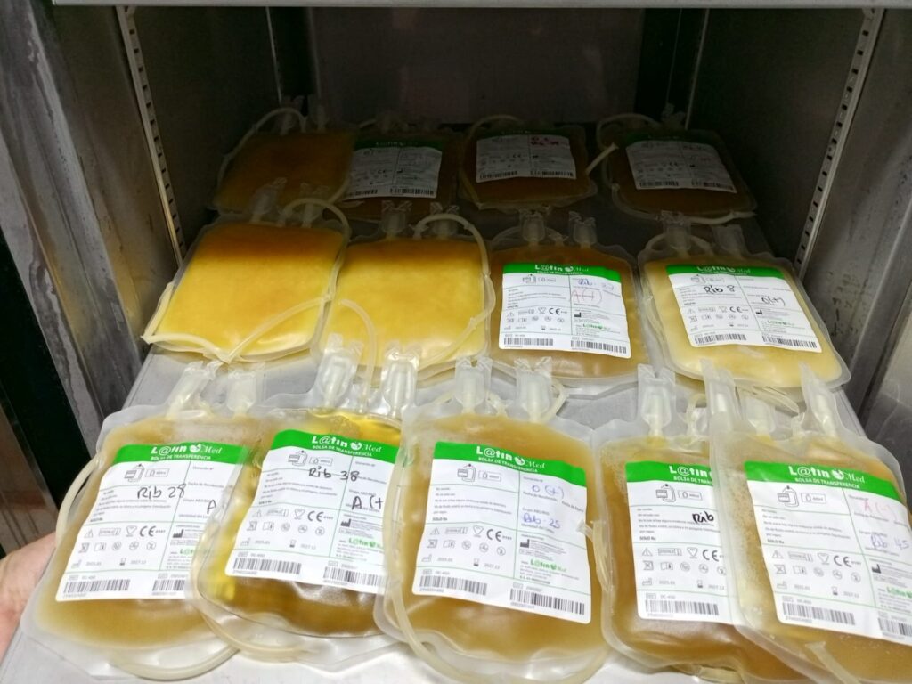 510781632_122180606846365711_713635851259387265_n