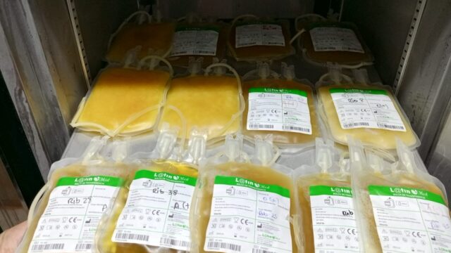 510781632_122180606846365711_713635851259387265_n