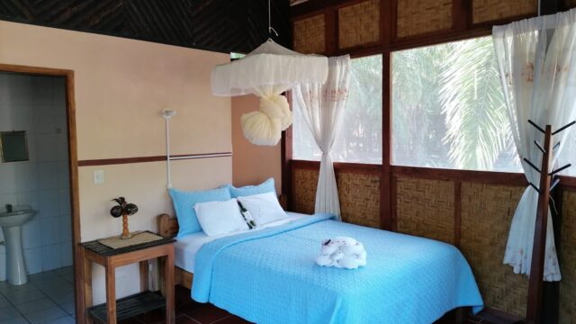 515041459_1657995575141046_4778948596759324571_n