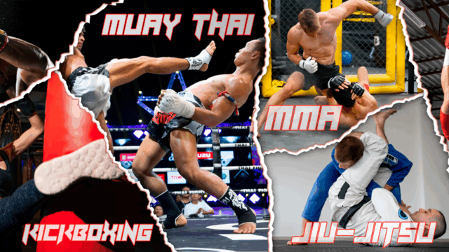 515474390_1046153050942963_7299853461311357295_n