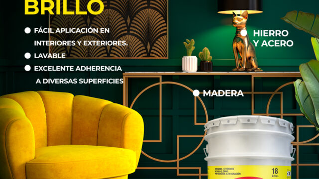 525625714_1215368837301407_6551786676187322788_n