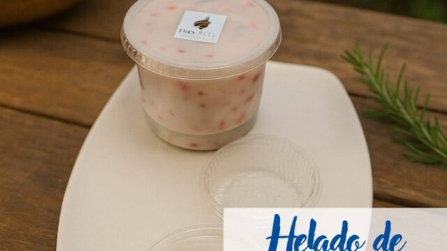 528043116_122238072092201074_374866995165564539_n