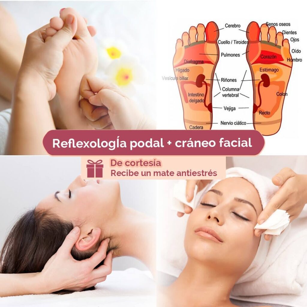 536275058_122246391512078087_1597827955684228832_n