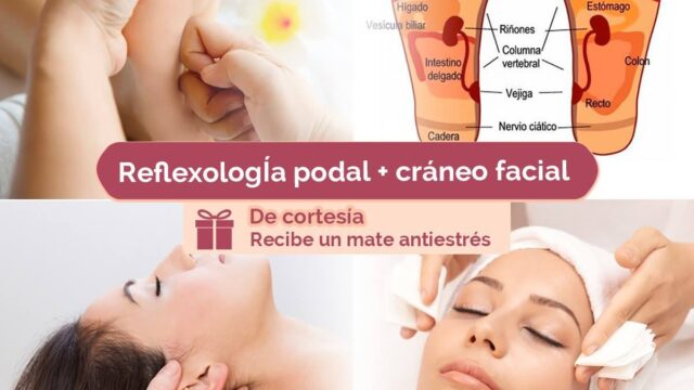 536275058_122246391512078087_1597827955684228832_n