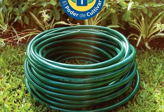 538263185_1573022707093260_7610286183190969753_n