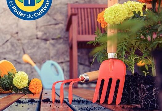 539162508_1573030137092517_5641737742961984388_n