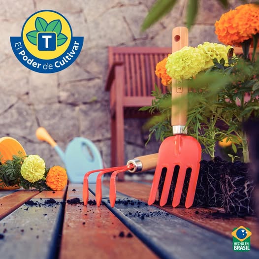 539162508_1573030137092517_5641737742961984388_n